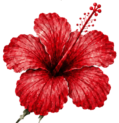 Fleur d’hibiscus Akana